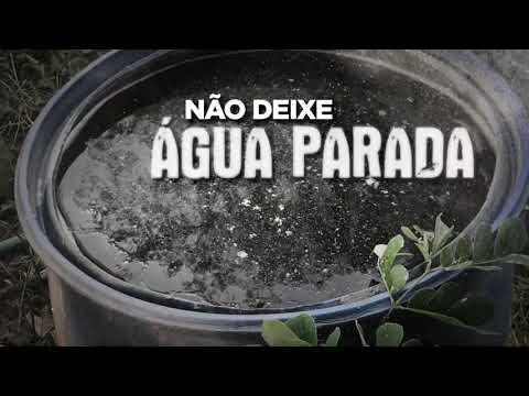 Secretaria de Saúde alerta população barra-garcense para cuidados contra o mosquito da dengue