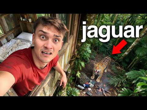 24 Timer HELT ALENE i Amazonas Junglen