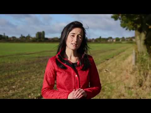 MPA ALA Agricultural Lime Film (Short)