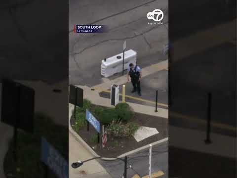 South Loop Shooting