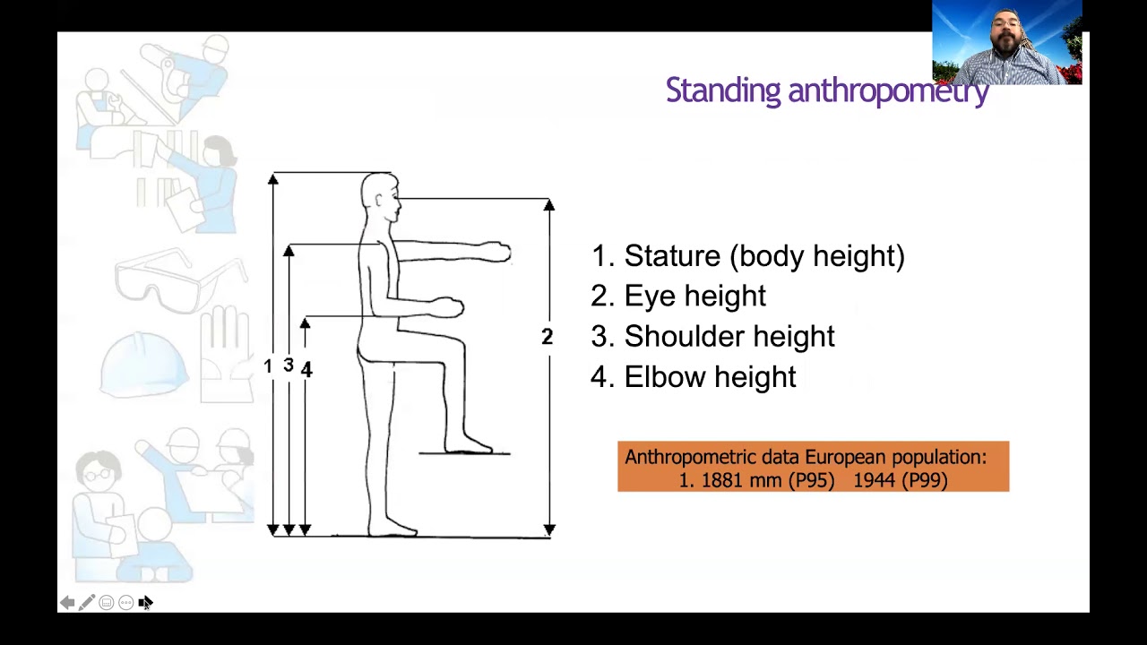 Ergonomics Part 1: Anthropometry