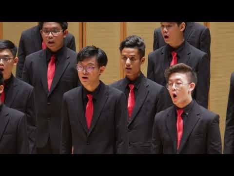 VJChoir SOV2019 - 归入 (Homecoming Person)