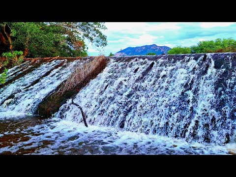 BARRAGEM DE PRISILINA ESTÁ CHEIA APOS CHUVAS NO MUNICÍPIO DE CATURAMA BAHIA #bahia #nordeste #sertão