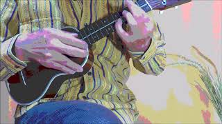悲しきマリー／ﾐｯｼｪﾙ･ﾎﾟﾙﾅﾚﾌ／Michel Polnareff(solo ukulele)