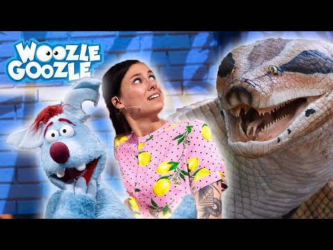 Wie gefährlich ist die größte Schlange der Welt? l WOOZLE GOOZLE