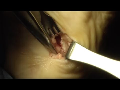 Digital Marketing for Doctors Healthcare Professionals ft Dr Robert J Moore