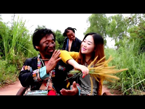 leej nus zoo nraug by laj tsawb