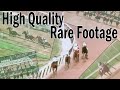 Secretariat Triple Crown Races High Quality Rare Footage