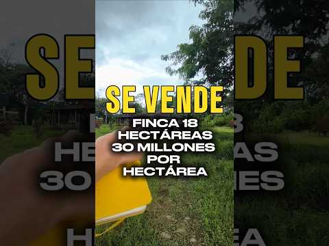 SE VENDE FINCA 18 HECTÁREAS / En Vista Hermosa, Meta Colombia 🇨🇴