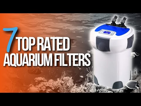 🙌 TOP 7 BEST Aquarium Filters | Aquarium Filters  Review