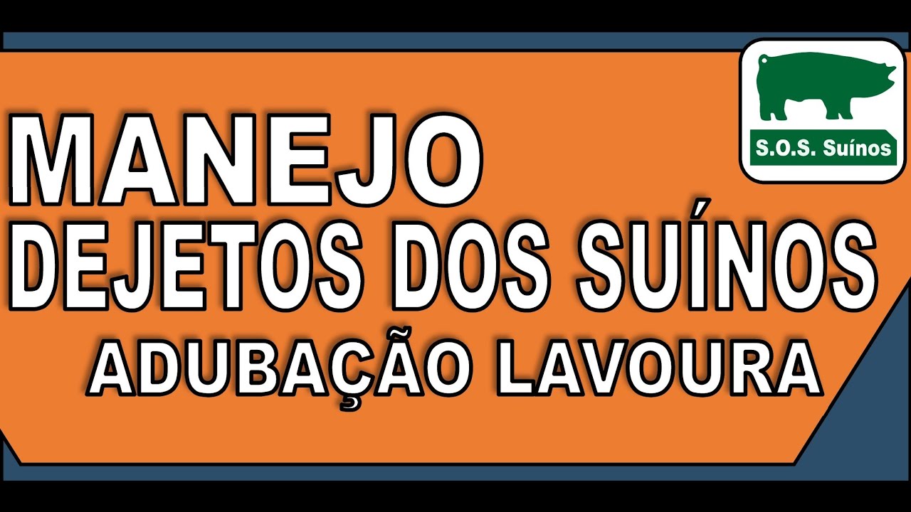 SUINOCULTURA: Manejo dos Dejetos dos Suínos