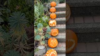 バンクーバーの秋街歩き🍁🎃 #バンクーバー生活 #バンクーバーライフ #バンクーバー生活 #海外生活vlog #vancouvervlog