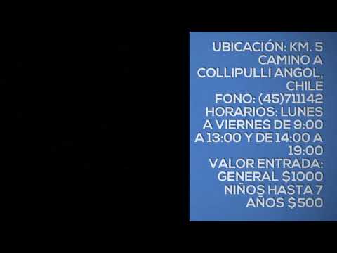 Museo Dillman Bullock