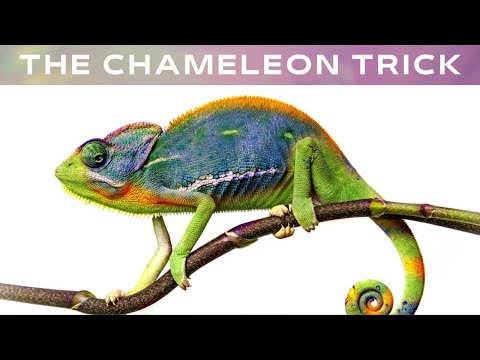 The Chameleon Wormhole Gas Huffing / Harvesting Trick #eveonline #gas #tipsandtricks