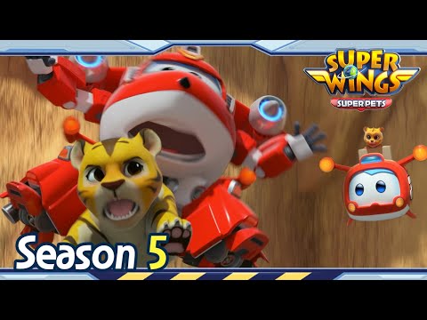 Witness21 Editor  2021 11 27