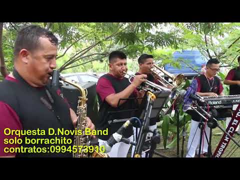 Solo borrachito - Orquesta D' NOVIS BAND ( en vivo )