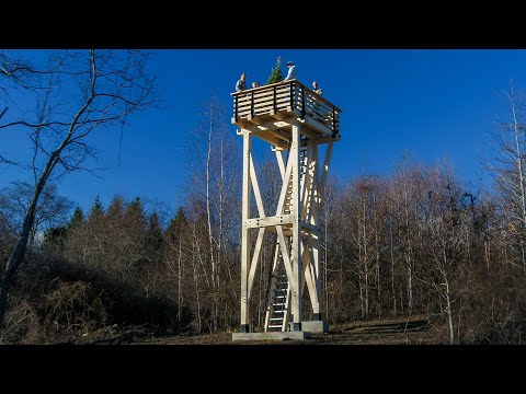 The Tale of the Tower: Building a Timber Frame Observation Tower in Greenwich, CT