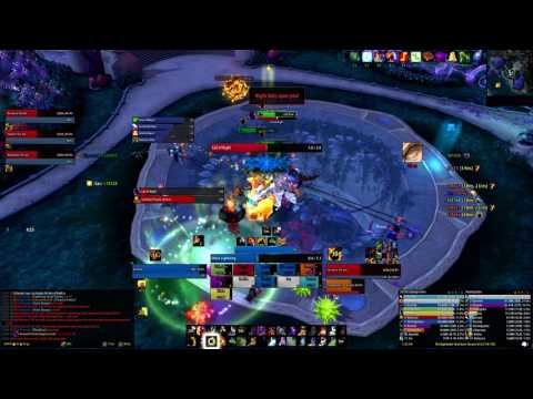 Odyssey vs High Botanist Tel'arn Heroic - Elemental Shaman PoV
