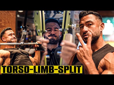 Is the torso-limb split worth the hype?