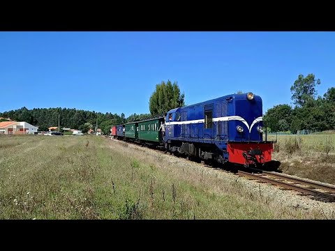 Linha do Vouga: Comboio Histórico e UDD 9631