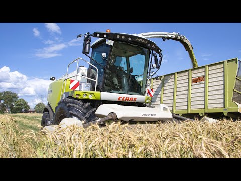 GPS mit Claas Jaguar 990! | Lohnunternehmen Nagel Averlak in Action | Landwirtschaft in Dithmarschen