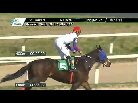 220819 c05 - QUE DOMINGO - HIPODROMO LAS PIEDRAS
