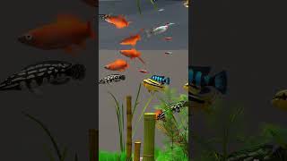 Behind Glass - Aquarium Simulator (Short) 2