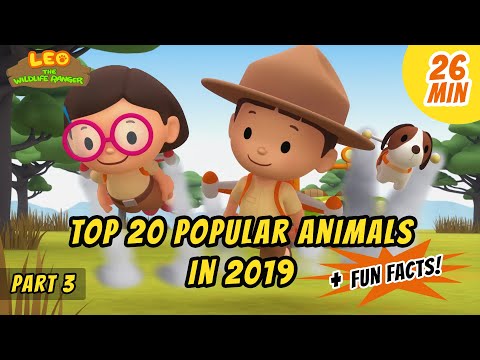 Witness21 Editor  2020 05 21