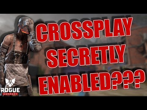 CROSSPLAY SECRETLY ENABLED??? - ANVIL GAMEPLAY - ROGUE COMPANY