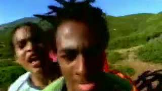 Chico Y Chico - Arriba, si! Abajo, no! (1996)
