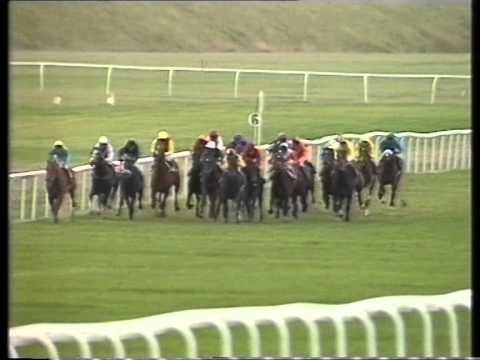 1991 Tote Cesarewitch Handicap