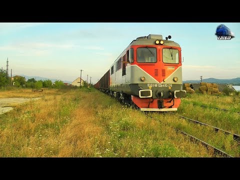 Horns Show de Goarne By LDE2100 60-1224-4 & Mecanic Super Engineer in Gara Beiuș Station 26July2019