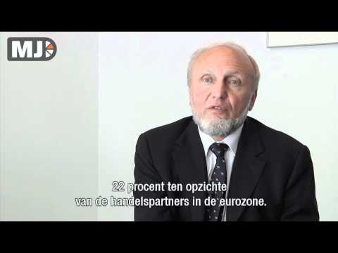 Me Judice - Hans-Werner Sinn over de eurozone
