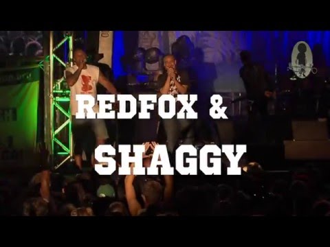 Redfox & Shaggy @ Reggaejam 2014