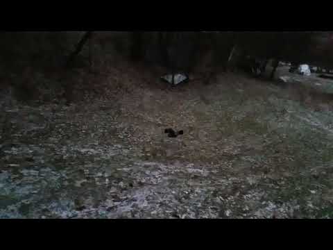 RC Car ski jump fail