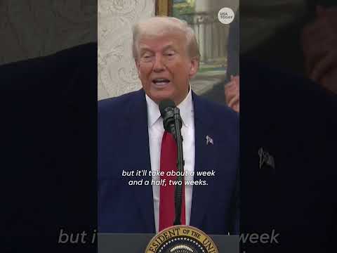 Donald Trump 'disappointed' with Vladimir Putin Shorts