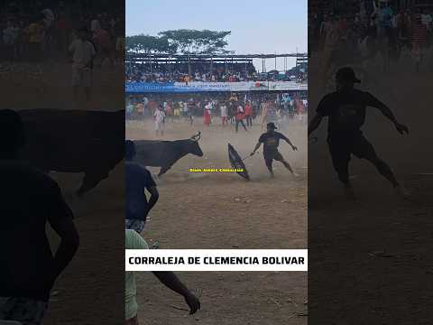Las Corralejas De Clemencia Bolivar