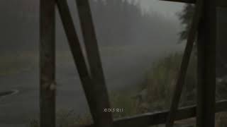 BIOHAZARD9 いんさにてちぃー