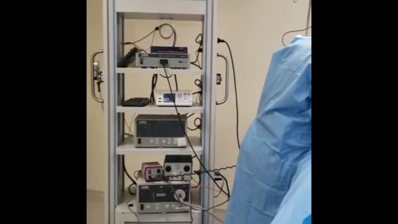 Fabiola García Iracheta-247