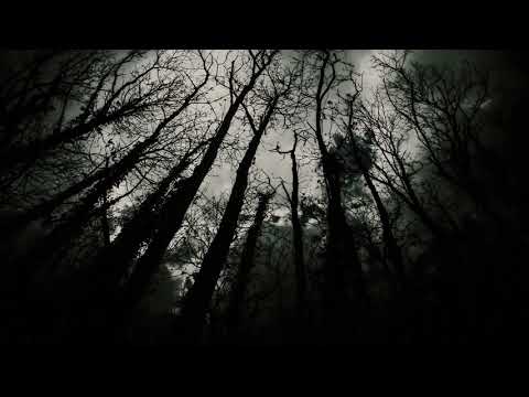 Darkpsy, Psycore, Experimental, Slambient Dj Set