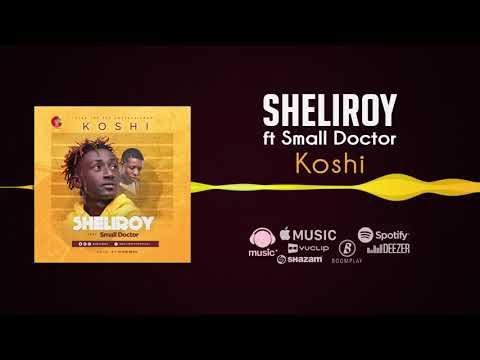Sheliroy - Koshi [Official Audio] ft. Small Doctor