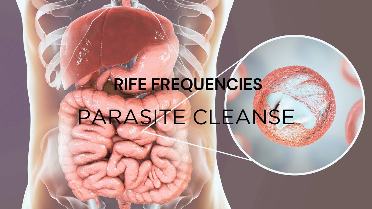 Parasite Cleanse Rife Frequencies by NeuralSync™