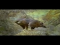 John Denver: Let This Be a Voice (1998)