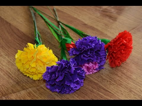 ไก่สีดำขนาดใหญ่ในลาขนาดเล็ก ยา Impaza จากสิ่งที่แสดงความคิดเห็น