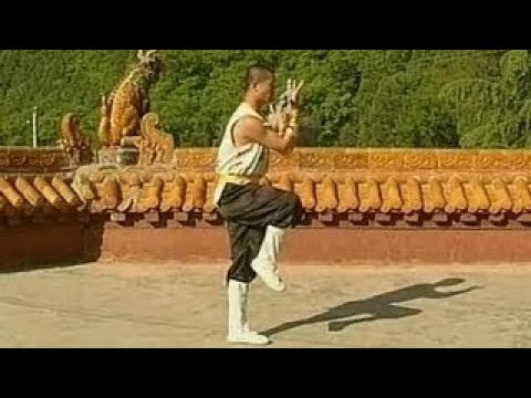 Shaolin 7 star kung fu