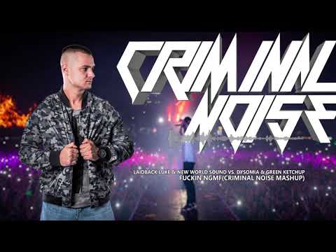 Laidback Luke & TWOLOUD vs. Dysomia & Green Ketchup - Fcukin NGMF (Criminal Noise Mashup)