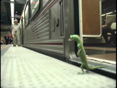 Geico Gecko - Subway - Framestore, NY