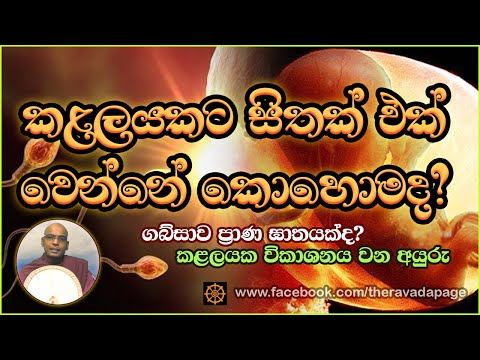 කළලයකට සිතක් එක් වෙන්නේ කොහොමද? | How does a mind attach to a fetus | By Thapowanaye Rathana Thero