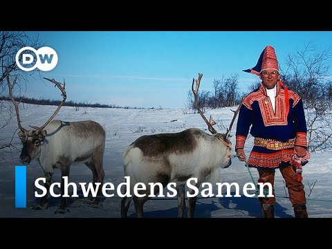 Schweden: Sami gegen Jäger | Fokus Europa