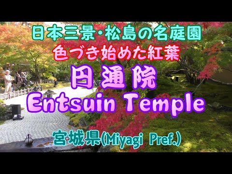 4K Folhas de outono começando a mudar de cor no famoso jardim "Entsuin" de Matsushima, uma das três vistas mais belas do Japão (Prefeitura de Miyagi)